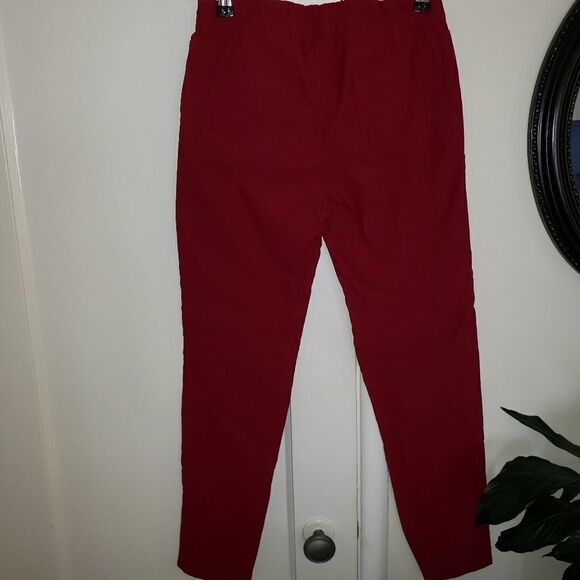 Stay Warm In Style Pull-On Ankle Zip Pants - Picture 7 of 8